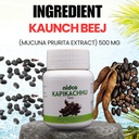 kapikachhu-tablets-500-mg-mucuna-prurien-81gh0BHsalL.jpg