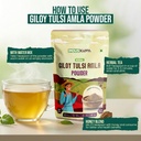 giloy-tulsi-amla-powder-100g-herbal-immu-71hf7EYFBzL.jpg
