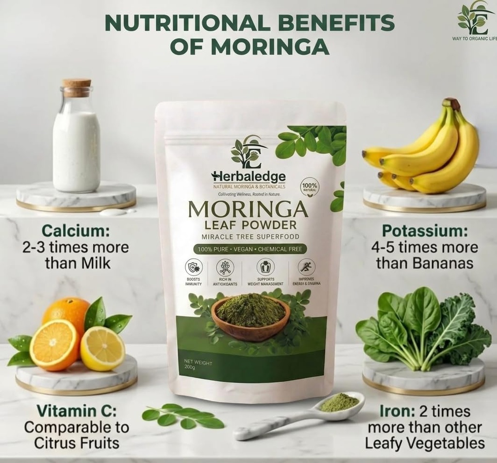 100-natural-moringa-powder-vegan-superfo-619Nt1f+rzL.jpg