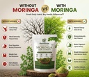 100-natural-moringa-powder-vegan-superfo-71EEjqvXtYL.jpg