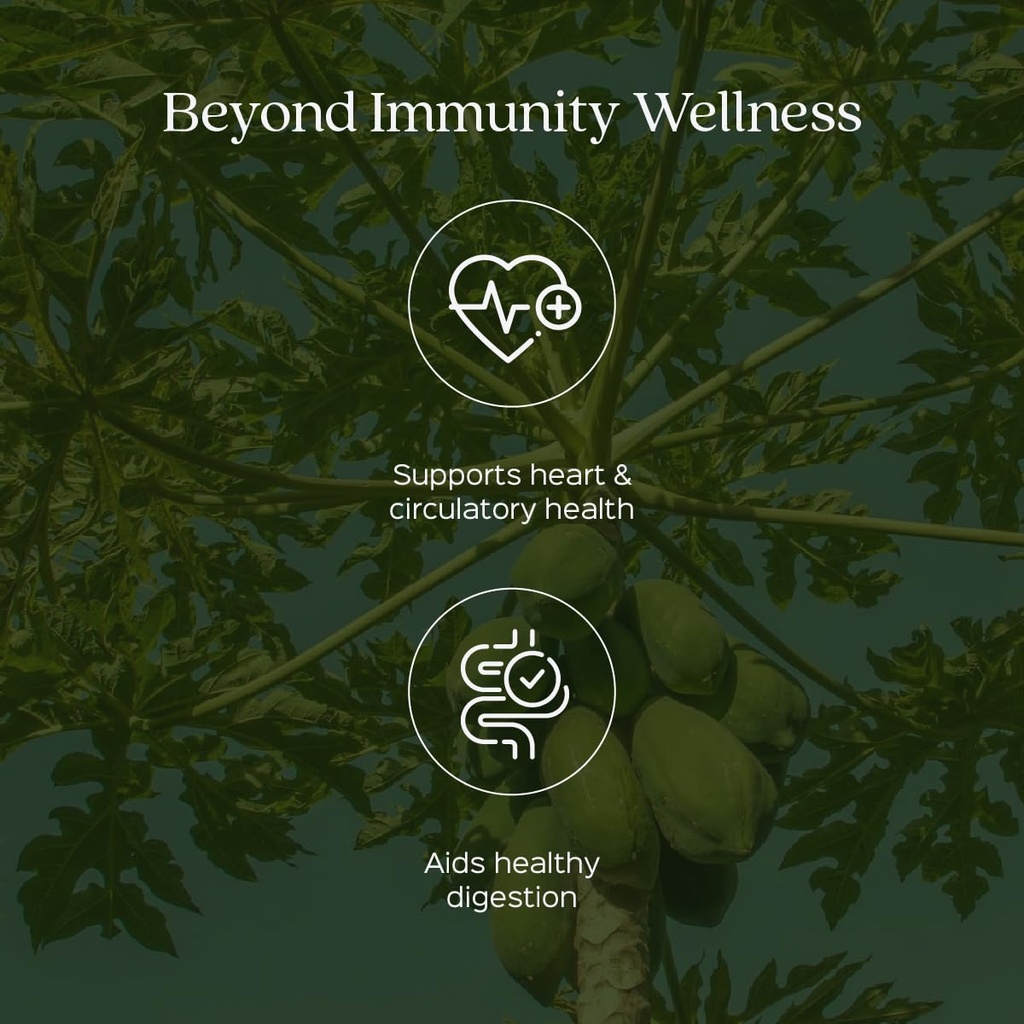 papaya-leaf-powder-200g-supports-blood-w-61DhUiYBopL.jpg