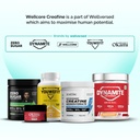 wellcore-pure-micronised-creatine-powder-71guXi6R4kL.jpg