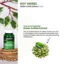 sheopals-green-coffee-extract-capsules-6-71TRtD9oLIL.jpg