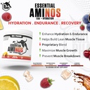 essential-aminos-hydration-vegan-bcaa-l--81N2mMhoZrL.jpg