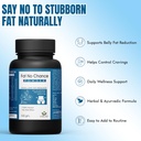 fat-no-chance-powder-ayurvedic-fat-burne-71yf8C-hUnL.jpg