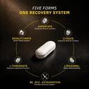 youwefit-magnesium-5x-complex-440mg-elem-81N1kay9GkL.jpg