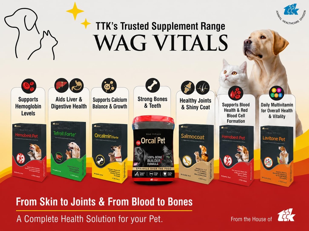 salmon-oil-supplement-for-dogs-cats-omeg-71kTXPqae6L.jpg
