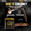 ripped-up-nutrition-alpha-shred-fat-burn-71Gn3tidN-L.jpg