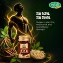 swadeshi-ayurved-keeda-jadi-capsules-30--819-jiA+m0L.jpg