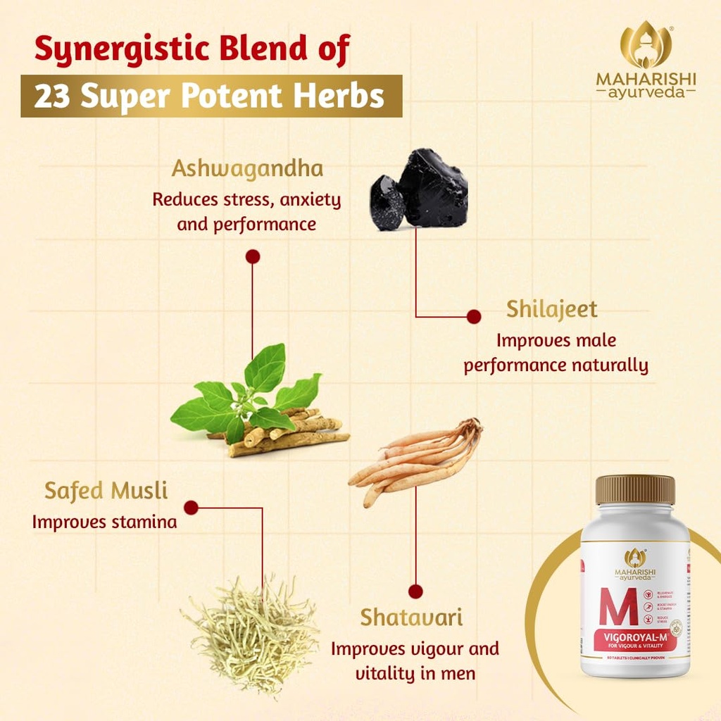 maharishi-ayurveda-shilajit-tablets-vigo-61p3pCTXJGL.jpg