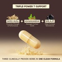rasayanam-t-charge-capsules-500mg-3-in-1-71cbyStHKmL.jpg