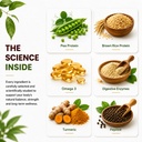 pure-nutrition-plant-protein-powder-vega-71IatCYRw1L.jpg