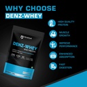 denzour-nutrition-denz-whey-protein-powd-71i3U1gx+xL.jpg