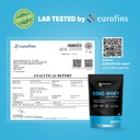 denzour-nutrition-denz-whey-protein-powd-81NT5sAIu-L.jpg