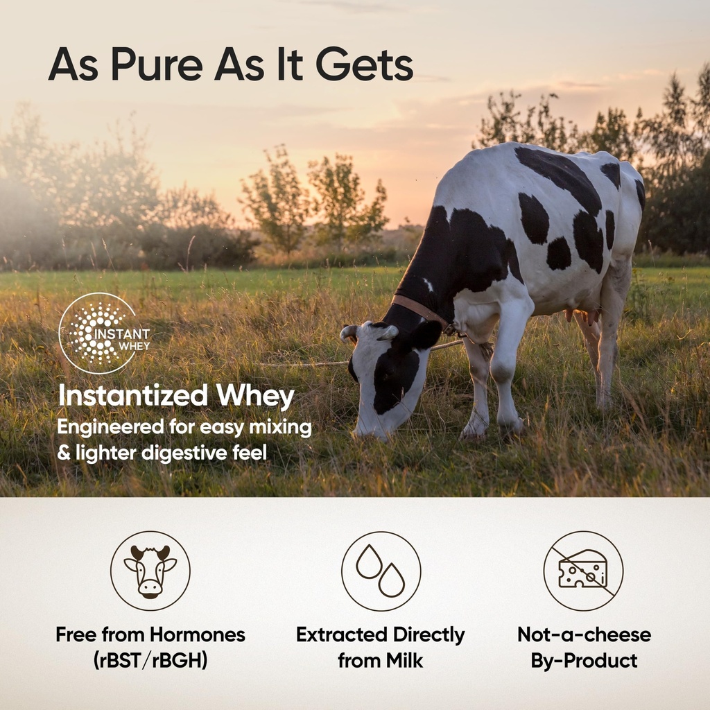wellbeing-nutrition-clean-whey-protein-c-91Mz4u8KqlL.jpg