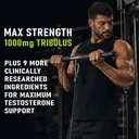 end2end-nutrition-testo-10x-natural-test-71Jxb0gVbgL.jpg