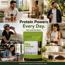 osoaa-pea-protein-hydrolysate-coffee-fla-71gV2mr-FLL.jpg