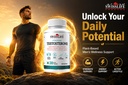 swisslife-forever-testosterone-supplemen-71qsZIDQxnL.jpg