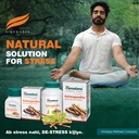 himalaya-ashvagandha-general-wellness-ta-71uPpYJoCFL.jpg