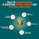 himalaya-ashvagandha-general-wellness-ta-714AVL7uEuL.jpg