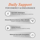 patanjali-swarna-shilajit-10-capsules-51zZEysumPL.jpg