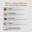 patanjali-swarna-shilajit-10-capsules-51dQHmKbWNL.jpg
