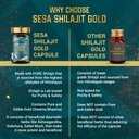 sesa-shilajit-capsules-gold-with-60-fulv-71wL+SxUCNL.jpg