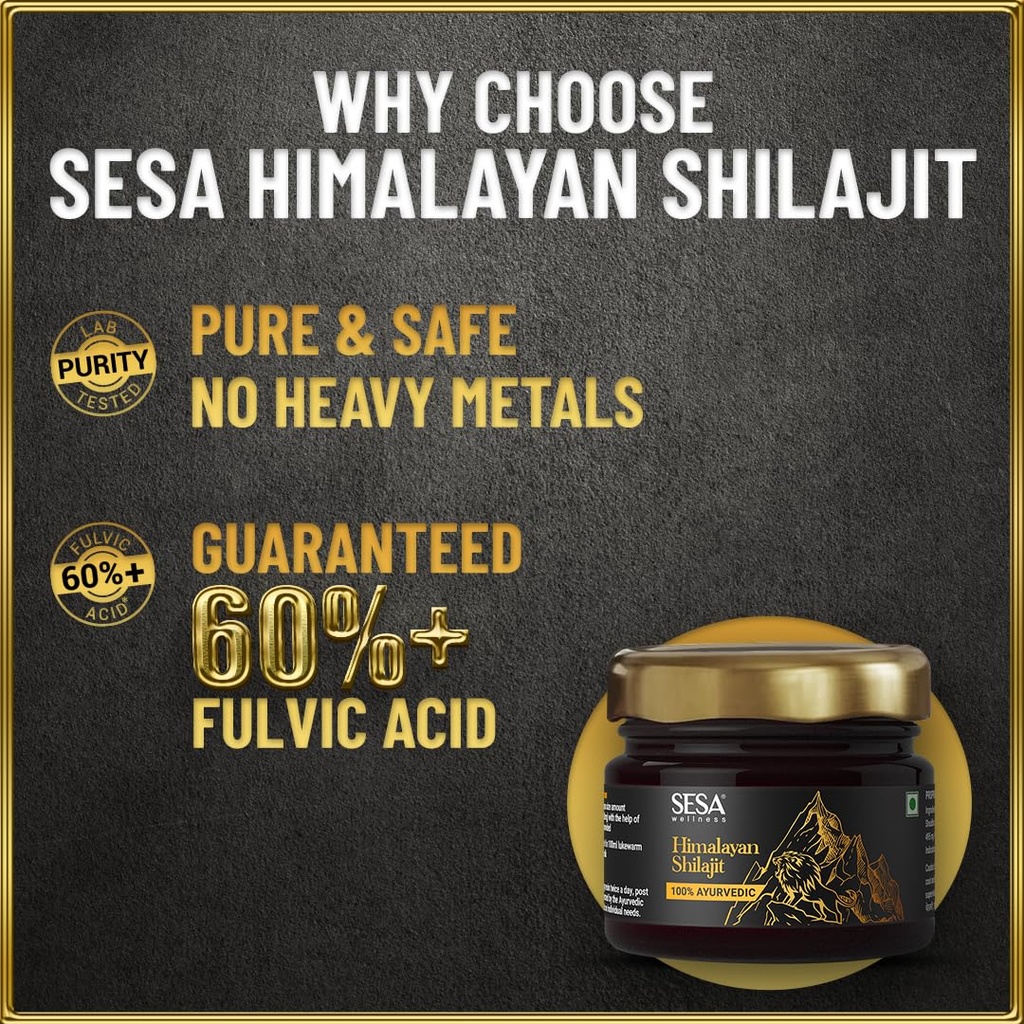 sesa-himalayan-shilajit-resin-20-g-shila-71DJHhJnTiL.jpg