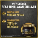 sesa-himalayan-shilajit-resin-20-g-shila-71c8G2Ibc8L.jpg