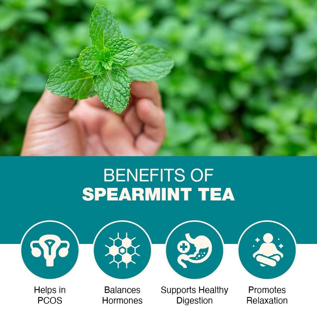 spearmint-herbal-tea-caffeine-free-mint--61F09eP9BtL.jpg