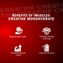 creatine-monohydrate-unflavoured-100-pur-61yeHMxC9mL.jpg