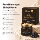 allove-pure-himalayan-shilajit-resin-20g-81kkMoX9c+L.jpg