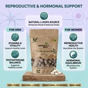 aromatica-india-white-kaunch-beej-mucuna-81JtSbe1auL.jpg