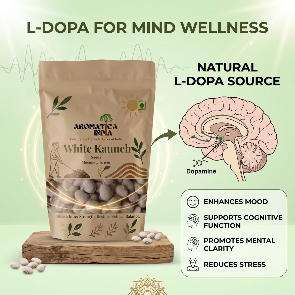 aromatica-india-white-kaunch-beej-mucuna-712UFqVSLhL.jpg