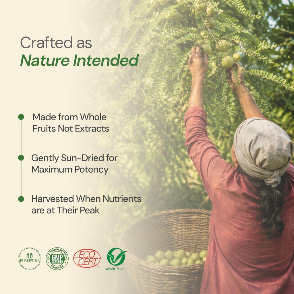 maharishi-ayurveda-triphala-churna-100-g-81bxTDaJp0L.jpg