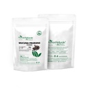 mucuna-pruriens-kapikachu-100gm-herbal-e-61FrUQ1ruxL.jpg