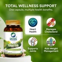 organic-wellness-garlic-90-vegetarian-ca-61aWthy390L.jpg