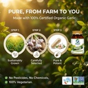 organic-wellness-garlic-90-vegetarian-ca-61+crYeXJdL.jpg