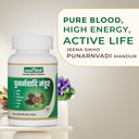 jeena-sikho-punarnavadi-mandur-ayurvedic-61EEQgVjj6L.jpg