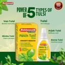 baidyanath-panch-tulsi-drops-immunity-bo-61AFPHpH5pL.jpg