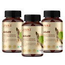 jiva-giloy-60-1-capsule-for-digestion-10-711mG4yA3bL.jpg
