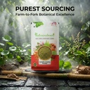 indianjadibooti-pure-centella-asiatica-p-81iIUjZ7jgL.jpg