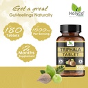 triphala-tablet-180-tablets-blend-of-ama-81rUt3OponL.jpg