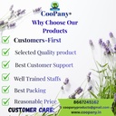 coopany-dry-natural-pahadi-lahsun-mounta-71IbwWf+TbL.jpg
