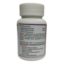 hadjod-capsules-500mg-cissus-quadrangula-61h-ZUaTggL.jpg