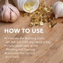 nutriorg-garlic-oil-soft-gel-capsules-50-818zZvioOvL.jpg