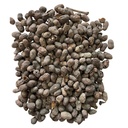 jamun-guthli-raw-375-g-jamun-beej-for-di-71lOi3jxEuL.jpg