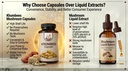 khumbeess-superfoods-lion-s-mane-mushroo-71XMfAFPSKL.jpg