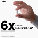 nac-with-milk-thistle-antioxidant-suppor-71klip8FKIL.jpg