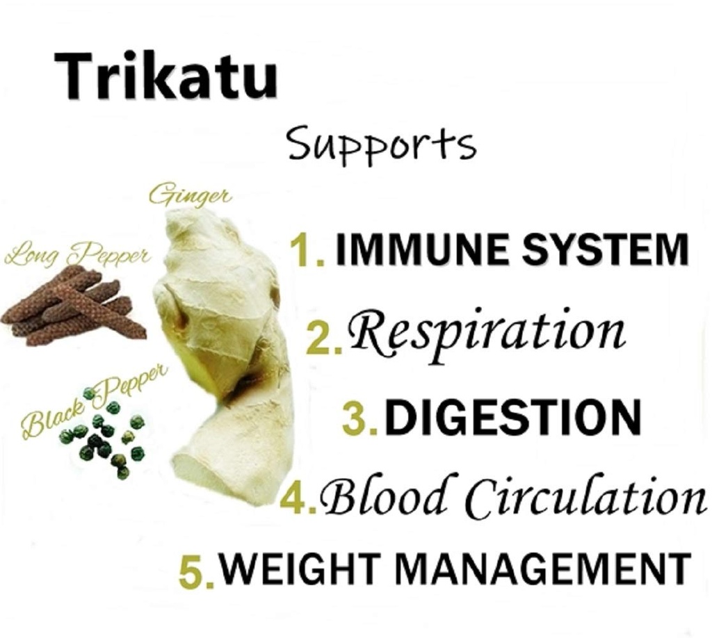himalaya-wellness-pure-herbs-trikatu-dig-613GIG7nb5L.jpg